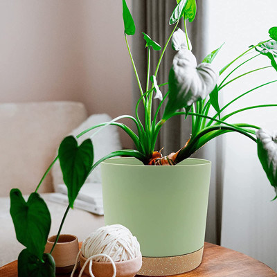 排水の穴および取り外し可能な基盤が付いている屋内プラスチック緑植物の鍋