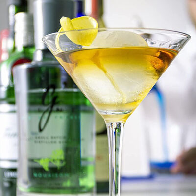 ウィスキーのカクテルのための大きい円形のアイス ボール メーカーのシリコーン球のアイス・キューブの皿型